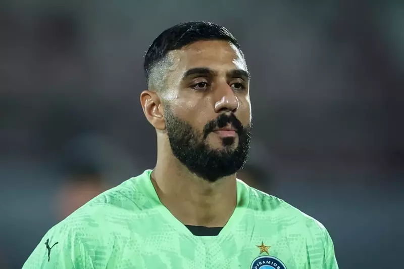 أحمد الشناوي